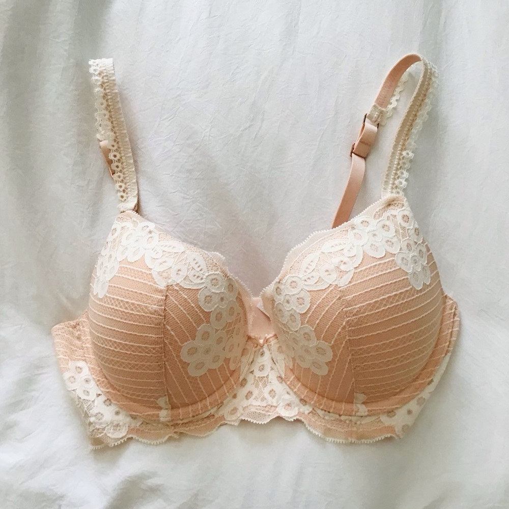 Aerie lace push up bra 36C